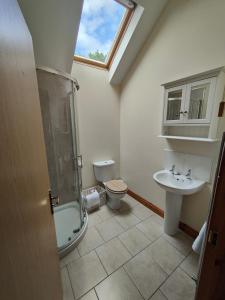 a bathroom with a shower and a toilet and a sink at Maghery Barn in Millford