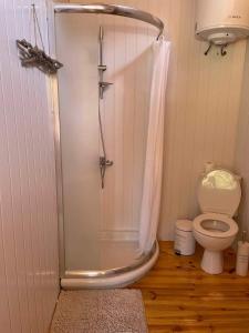 a shower in a bathroom with a toilet at Каравана GYPSY in Chernomorets