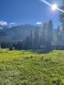 a field of green grass with a house in the background at Rustic Beaverfoot Lodge Room N8 in Parson