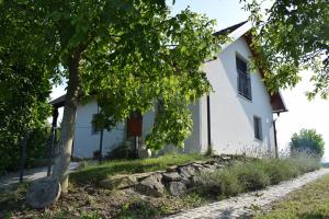 a house with a tree in front of it at Domačija Vrški in Slovenska Bistrica