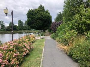 ein Wanderweg neben einem Fluss mit Blumen in der Unterkunft Disney and Paris 5 rooms 110m2 free parking in Lognes