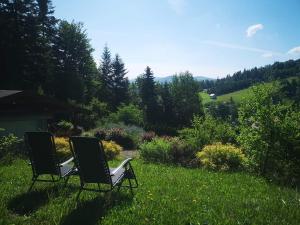 two chairs sitting in the grass in a yard at Śniegocinka 4 in Brenna +7 photos
