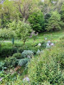 a garden with a bunch of plants in a field at Liz Mari Apartments near Terme Olimia in Podčetrtek