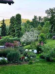 a garden with white flowers in the grass at Liz Mari Apartments near Terme Olimia in Podčetrtek +20 photos
