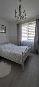 ウェバにあるMałgorzataのギャラリーの写真