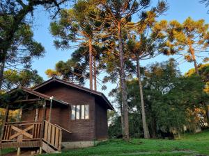 una cabaña en el bosque con árboles en el fondo en Pousada Cajuvá, en Urubici