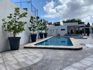 a swimming pool with potted trees next to a wall at Nuevo depa con alberca y gym in Guadalajara