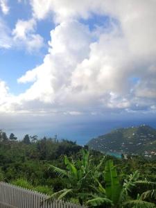 a white fence in front of a hill with the ocean at Sage Mountain Skyway, Comfortable One Bedroom in Sage Mountain, Tortola in Great Carrot Bay +8 photos