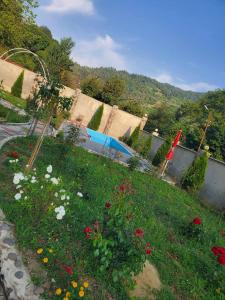 Fotografie z fotogalerie ubytování DIOSKURIA BORJOMi v destinaci Bordžomi