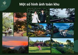 Fotografie z fotogalerie ubytování JE T'AIME VILLA - Khu nghỉ dưỡng nhà vườn nằm giữa thiên nhiên bao la hoa cỏ v destinaci Bao Loc