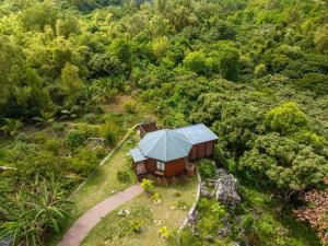 Rodrigues IslandORIGIN Eco Chalet的森林中房屋的鸟瞰图
