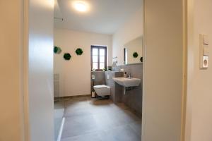 a bathroom with a sink and a toilet at Fachwerk Design-Apartment Sinsheim in Sinsheim +37 photos