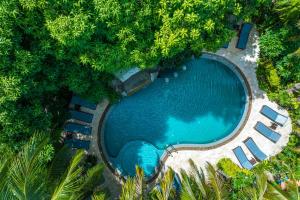 - une vue sur la piscine entourée d'arbres dans l'établissement Phuket Meet Holiday Hotel-Rawai 普吉岛相遇花园度假酒店-拉威店, à Rawai Beach