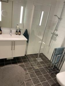 Buvikaにあるseaside house with stunning sunsets & sun all day Near Trondheimのシャワー、洗面台、トイレ付きのバスルーム