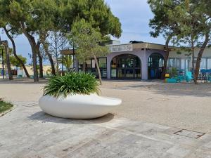 Kép Casa Piccola - Appartamento 1 fila mare con splendida terrazza szállásáról Grottammaréban a galériában