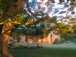 Κήπος έξω από το Buffalo Thorn Bed & Breakfast