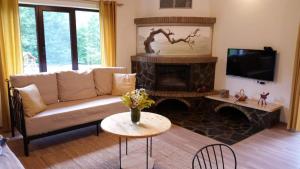 a living room with a couch and a fireplace at Cabana Mea in Podu lui Neag