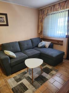 a living room with a blue couch and a table at Hiša Heidi in Zavrč +22 photos