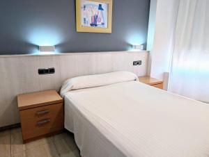 Postel nebo postele na pokoji v ubytování Hostal Meseguer