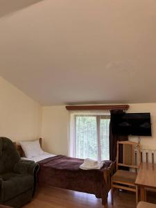 TV a/nebo společenská místnost v ubytování Nectar hotel