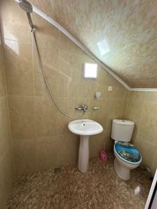 巴统IR Guest House的带马桶和水槽的小浴室