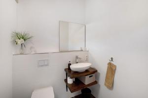 a bathroom with a sink and a mirror at Ferienoase Im Land Der 1000 Seen in Karstädt +28 photos
