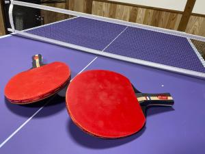 Настольный теннис в 一棟貸切コンパクトハウス 黒川温泉まで車で10分 TAO flow или поблизости