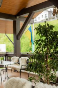 Zahrada ubytování Ganz & SPA
