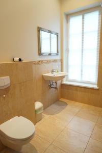 a bathroom with a toilet and a sink and a window at Provansalio dvaras in Babriškės