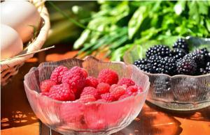 Foto dalla galleria di Stierlhof Ritten a Renon