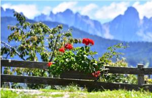 Foto dalla galleria di Stierlhof Ritten a Renon