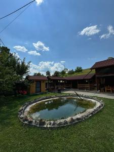 a small pond in the middle of a yard at Casa Mariei in Vama Buzăului