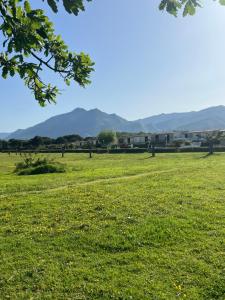 a field of green grass with mountains in the background at Pavillon chez Michel corse in Poggio-Mezzana