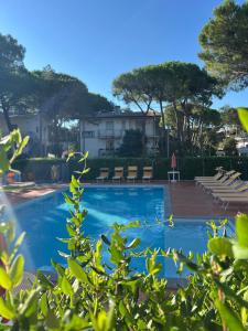 a swimming pool with a building in the background at Casa Bianca Village Apartments in Lignano Sabbiadoro