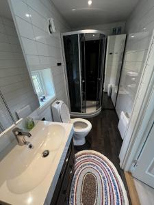 un bagno con lavandino, WC e doccia di Flott hytte i Morfjorden, Laupstad a Laupstad