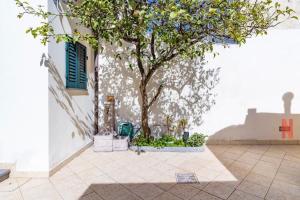 Zahrada ubytování Villette Singola Versilia WIFI AC + 48 fotografií