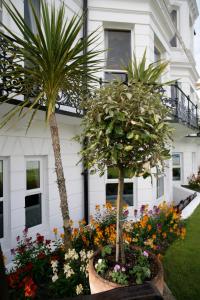 two palm trees and flowers in front of a building at Devonshire Park Hotel in Eastbourne