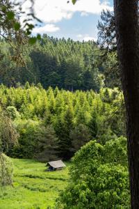 a cabin in the middle of a field with trees at Afgelegen gite naast rivier omringd door bossen in bergachtige omgeving in Saint-Bonnet-le-Chastel