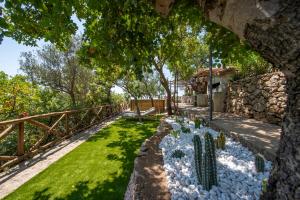 a garden with cacti and rocks in a yard at Casa Allegra in Praiano