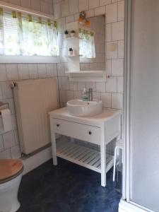 a bathroom with a white sink and a toilet at Ferienhaus Bad Hundertpfund Typ A in Großbreitenbach