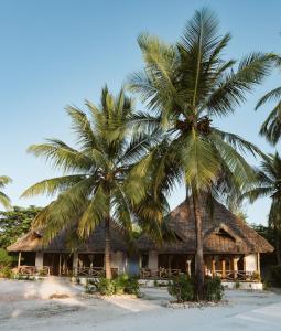 a resort on the beach with two palm trees at Bahati Sunset Bungalows Michamvi in Michamvi