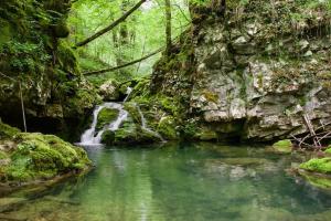 Příroda nedaleko prázdninového domu + 17 fotografií