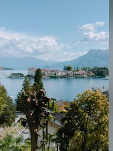 a view of a body of water with a tree at Del Rampolino Arancio in Stresa