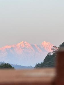 山景或在酒店看到的山景