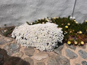 Fotografie z fotogalerie ubytování Cortijo Los Maximos v destinaci Turón