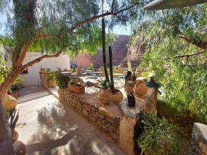 a stone wall with a bunch of potted plants at Tigmi Bulbul in Id AÃ¯ssa