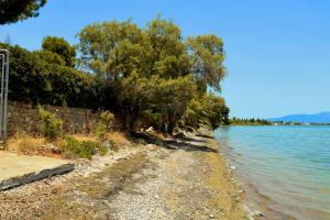 a shoreline with trees and water on a sunny day at Ekatis Seacoast Nest in Livanates