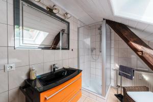 a bathroom with a sink and a shower at MittenDrin in Bad Schandau +13 photos