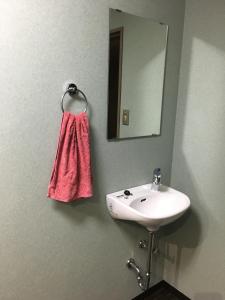 a bathroom with a sink and a pink towel at Park Inn in Osaka