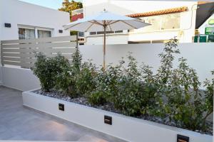 Zahrada ubytování Rhotheon Suites in Ialysos Rhodes - with private pool